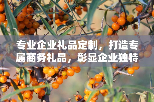 专业企业礼品定制，打造专属商务礼品，彰显企业独特魅力