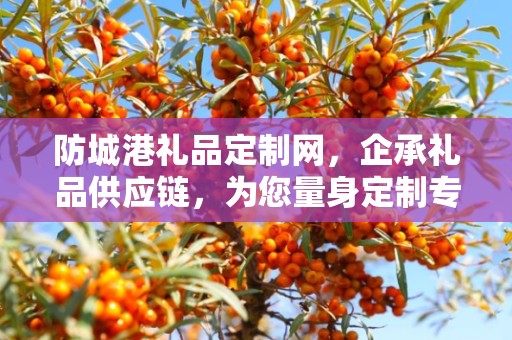 防城港礼品定制网，企承礼品供应链，为您量身定制专属礼品