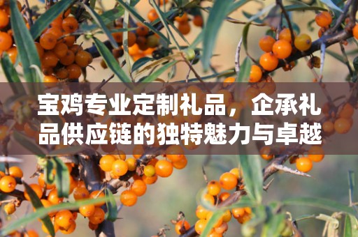 宝鸡专业定制礼品，企承礼品供应链的独特魅力与卓越服务